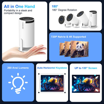 ProMovie HY300