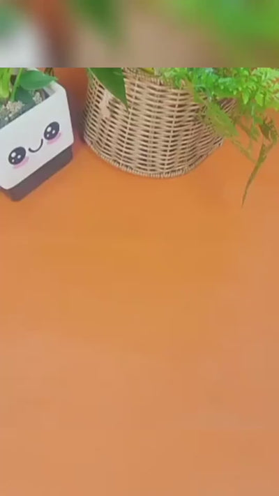 TwirlSafe Dish